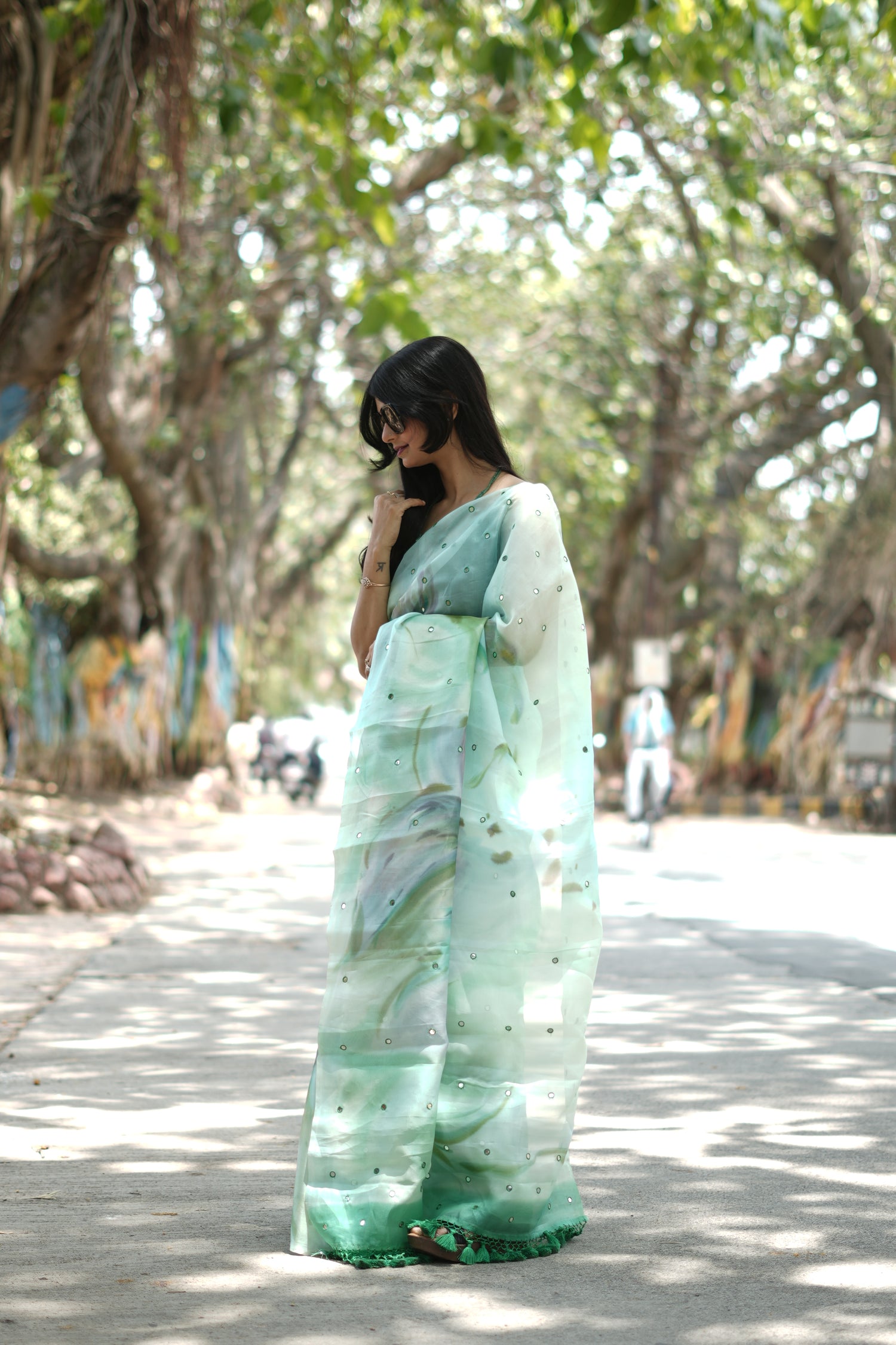 Hand Brushed Banarasi Organza Saree with Mirror Work