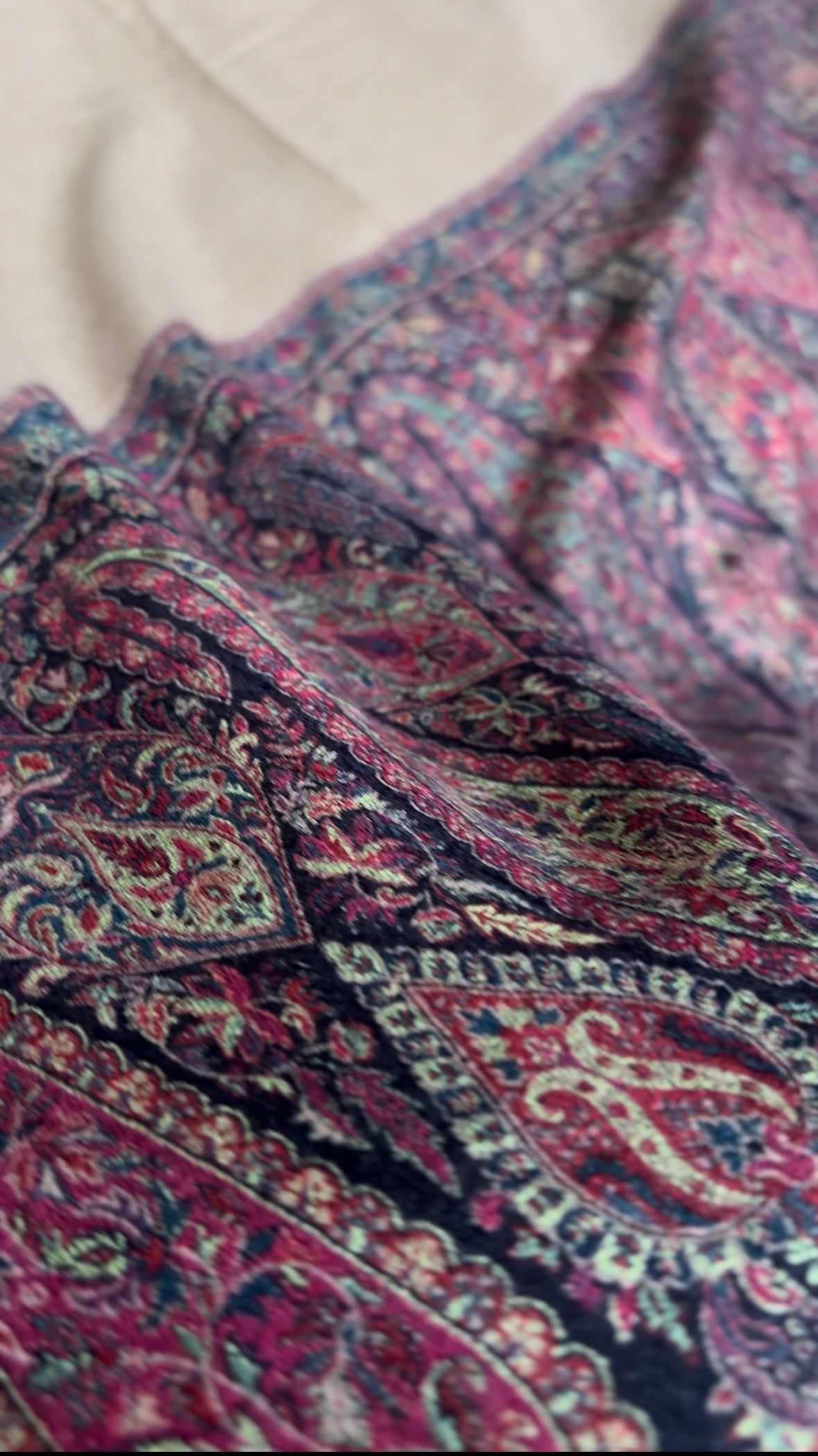 Mocha Pure Pashmina kashmiri Shawl