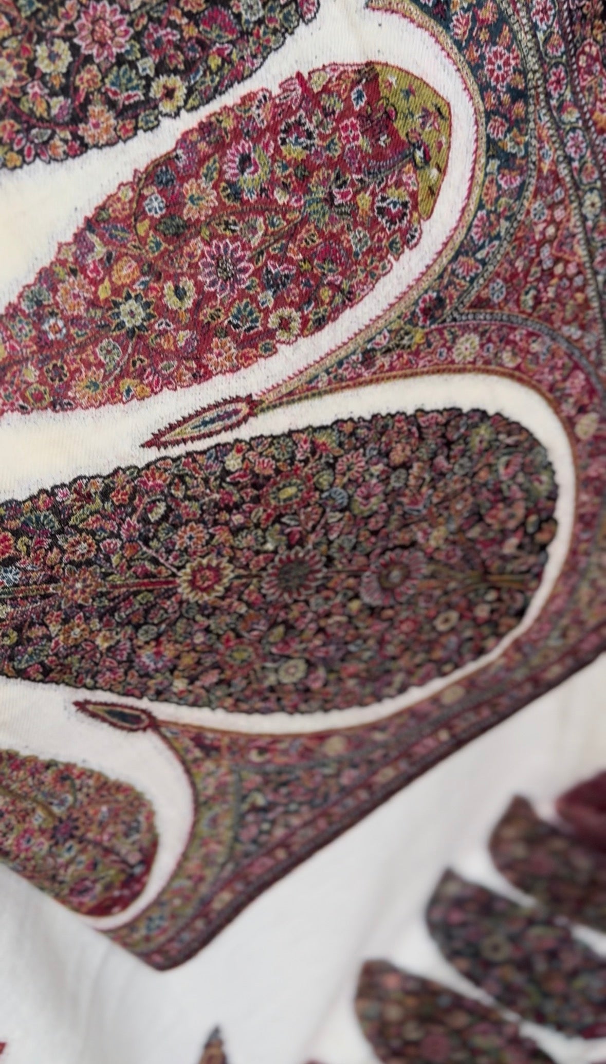 Off White Pure Pashmina Kaani Jama shawl