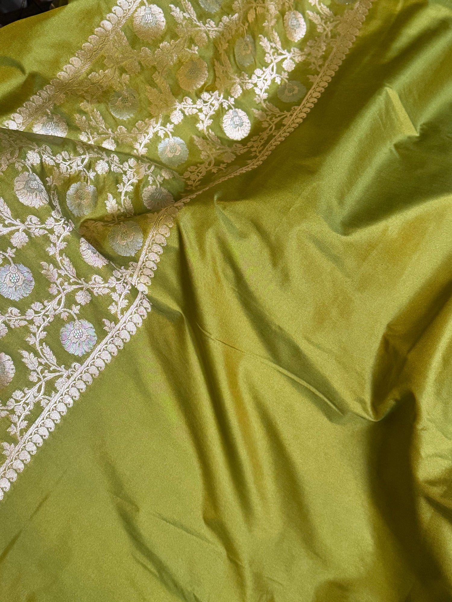 Parrot Green Sona Rupa Banarasi Saree with Central Zari Panel and Floral Detailing